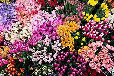 本周FAMI评分：《蜡笔小新煤炭镇的小白》33分