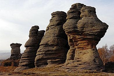 海绵宝宝换装ACT《海绵宝宝：宇宙摇摆》正式公布